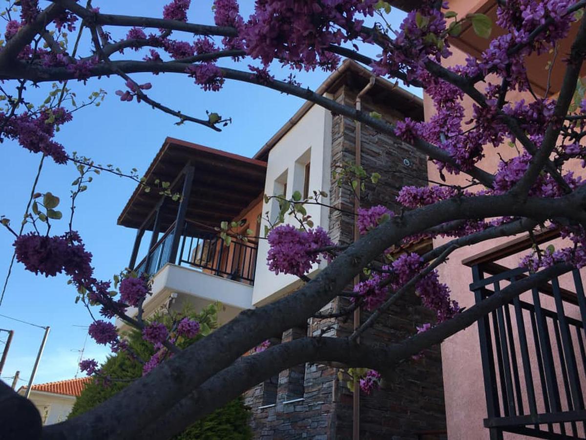 Nea Roda Apartments מראה חיצוני תמונה